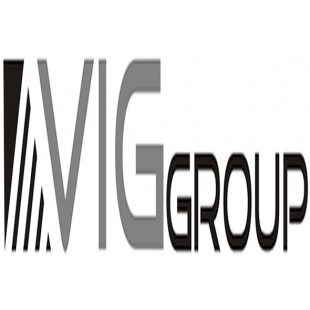 VİGGroup